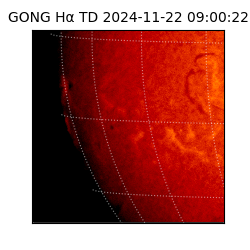 gong - 2024-11-22T09:00:22