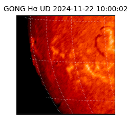 gong - 2024-11-22T10:00:02