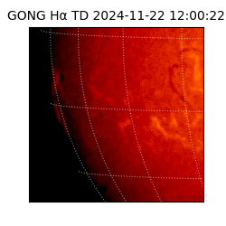 gong - 2024-11-22T12:00:22