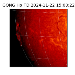 gong - 2024-11-22T15:00:22