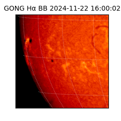 gong - 2024-11-22T16:00:02