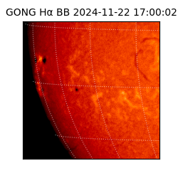 gong - 2024-11-22T17:00:02