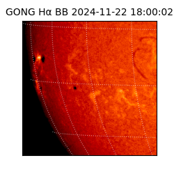 gong - 2024-11-22T18:00:02