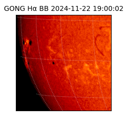 gong - 2024-11-22T19:00:02