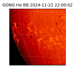 gong - 2024-11-22T22:00:02