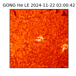 gong - 2024-11-22T02:00:42