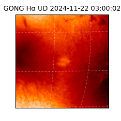 gong - 2024-11-22T03:00:02