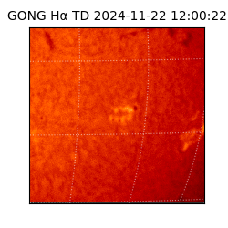 gong - 2024-11-22T12:00:22