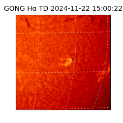 gong - 2024-11-22T15:00:22