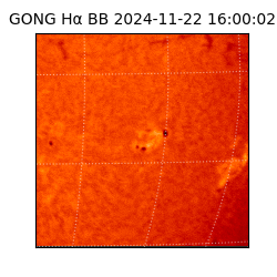 gong - 2024-11-22T16:00:02