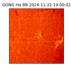 gong - 2024-11-22T19:00:02