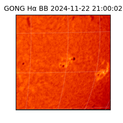 gong - 2024-11-22T21:00:02