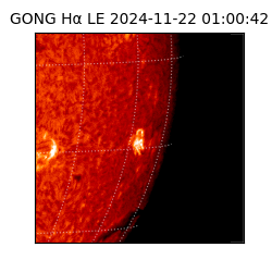 gong - 2024-11-22T01:00:42