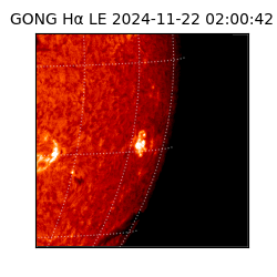 gong - 2024-11-22T02:00:42