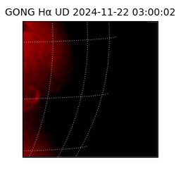 gong - 2024-11-22T03:00:02