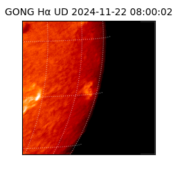 gong - 2024-11-22T08:00:02