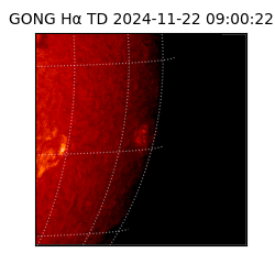 gong - 2024-11-22T09:00:22