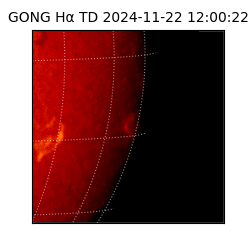 gong - 2024-11-22T12:00:22