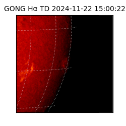 gong - 2024-11-22T15:00:22