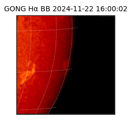 gong - 2024-11-22T16:00:02