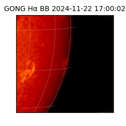 gong - 2024-11-22T17:00:02