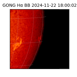 gong - 2024-11-22T18:00:02