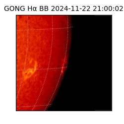 gong - 2024-11-22T21:00:02