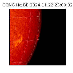 gong - 2024-11-22T23:00:02