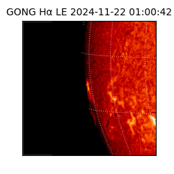 gong - 2024-11-22T01:00:42