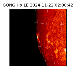gong - 2024-11-22T02:00:42