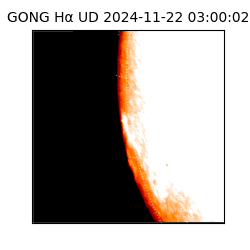 gong - 2024-11-22T03:00:02