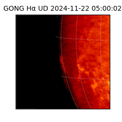 gong - 2024-11-22T05:00:02