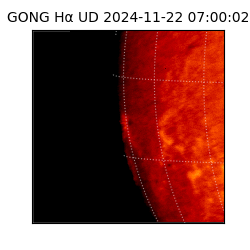 gong - 2024-11-22T07:00:02