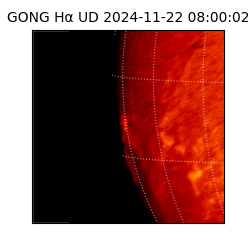 gong - 2024-11-22T08:00:02