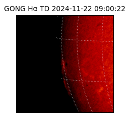 gong - 2024-11-22T09:00:22