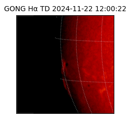 gong - 2024-11-22T12:00:22