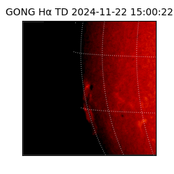 gong - 2024-11-22T15:00:22