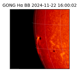 gong - 2024-11-22T16:00:02
