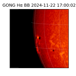 gong - 2024-11-22T17:00:02