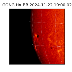 gong - 2024-11-22T19:00:02