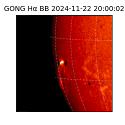 gong - 2024-11-22T20:00:02