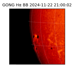 gong - 2024-11-22T21:00:02