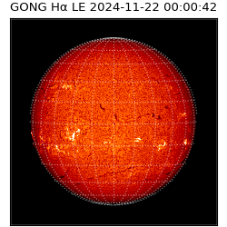 gong - 2024-11-22T00:00:42