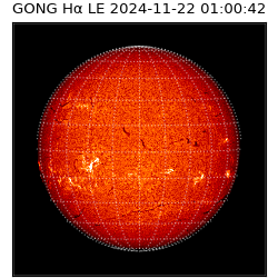 gong - 2024-11-22T01:00:42