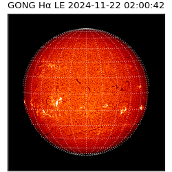 gong - 2024-11-22T02:00:42