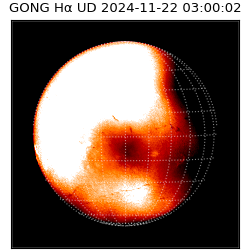 gong - 2024-11-22T03:00:02