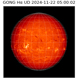 gong - 2024-11-22T05:00:02
