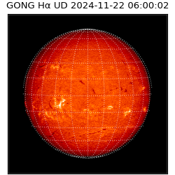 gong - 2024-11-22T06:00:02