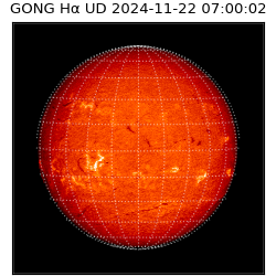 gong - 2024-11-22T07:00:02