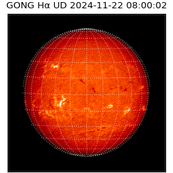 gong - 2024-11-22T08:00:02